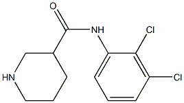 N-(2,3-dichlorophenyl)piperidine-3-carboxamide,,结构式