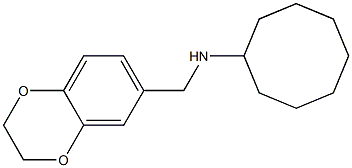 N-(2,3-dihydro-1,4-benzodioxin-6-ylmethyl)cyclooctanamine Structure