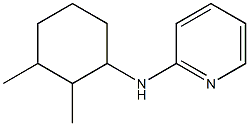 N-(2,3-dimethylcyclohexyl)pyridin-2-amine,,结构式