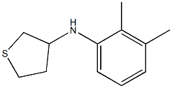 N-(2,3-dimethylphenyl)thiolan-3-amine 化学構造式