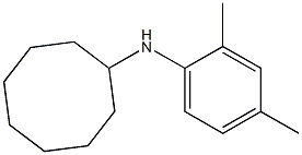N-(2,4-dimethylphenyl)cyclooctanamine 化学構造式
