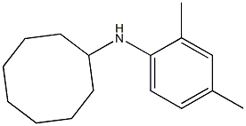 N-(2,4-dimethylphenyl)cyclooctanamine 结构式