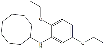 N-(2,5-diethoxyphenyl)cyclooctanamine Structure