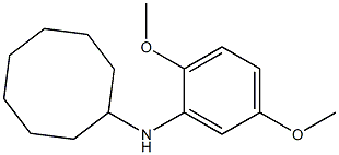 N-(2,5-dimethoxyphenyl)cyclooctanamine,,结构式