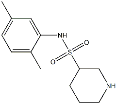 N-(2,5-dimethylphenyl)piperidine-3-sulfonamide Struktur