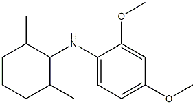 N-(2,6-dimethylcyclohexyl)-2,4-dimethoxyaniline