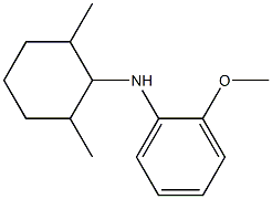 N-(2,6-dimethylcyclohexyl)-2-methoxyaniline|