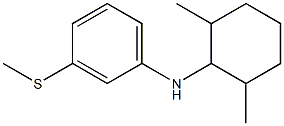 N-(2,6-dimethylcyclohexyl)-3-(methylsulfanyl)aniline 结构式