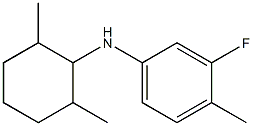 N-(2,6-dimethylcyclohexyl)-3-fluoro-4-methylaniline 结构式