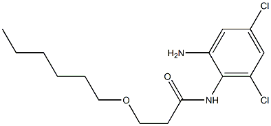 N-(2-amino-4,6-dichlorophenyl)-3-(hexyloxy)propanamide 结构式