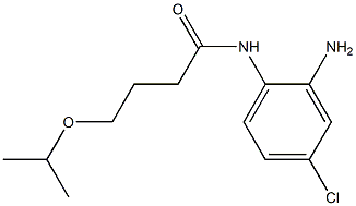 N-(2-amino-4-chlorophenyl)-4-(propan-2-yloxy)butanamide Struktur