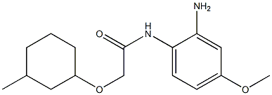 N-(2-amino-4-methoxyphenyl)-2-[(3-methylcyclohexyl)oxy]acetamide 化学構造式