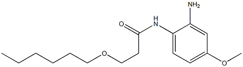 N-(2-amino-4-methoxyphenyl)-3-(hexyloxy)propanamide Struktur