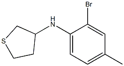 N-(2-bromo-4-methylphenyl)thiolan-3-amine 结构式