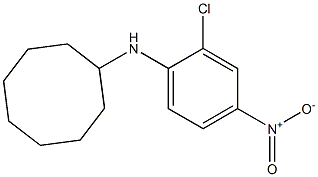 N-(2-chloro-4-nitrophenyl)cyclooctanamine 化学構造式