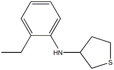 N-(2-ethylphenyl)thiolan-3-amine