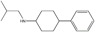 N-(2-methylpropyl)-4-phenylcyclohexan-1-amine Struktur