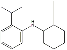 N-(2-tert-butylcyclohexyl)-2-(propan-2-yl)aniline 化学構造式