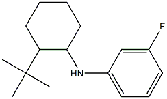 N-(2-tert-butylcyclohexyl)-3-fluoroaniline Structure