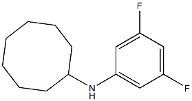 N-(3,5-difluorophenyl)cyclooctanamine Struktur