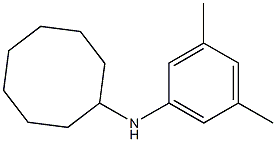  N-(3,5-dimethylphenyl)cyclooctanamine