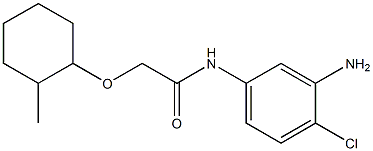 N-(3-amino-4-chlorophenyl)-2-[(2-methylcyclohexyl)oxy]acetamide Struktur