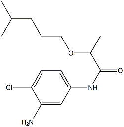 N-(3-amino-4-chlorophenyl)-2-[(4-methylpentyl)oxy]propanamide,,结构式