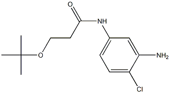 N-(3-amino-4-chlorophenyl)-3-(tert-butoxy)propanamide 化学構造式