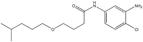  N-(3-amino-4-chlorophenyl)-4-[(4-methylpentyl)oxy]butanamide