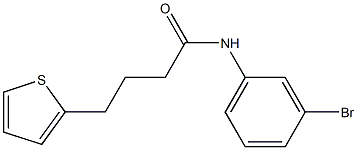 N-(3-bromophenyl)-4-thien-2-ylbutanamide Struktur