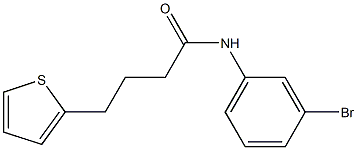 N-(3-bromophenyl)-4-thien-2-ylbutanamide Structure