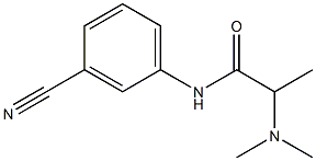 N-(3-cyanophenyl)-2-(dimethylamino)propanamide Struktur