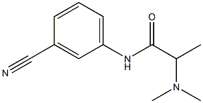 N-(3-cyanophenyl)-2-(dimethylamino)propanamide 化学構造式