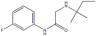 N-(3-fluorophenyl)-2-[(2-methylbutan-2-yl)amino]acetamide Structure