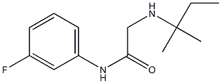 N-(3-fluorophenyl)-2-[(2-methylbutan-2-yl)amino]acetamide,,结构式