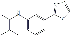 N-(3-methylbutan-2-yl)-3-(1,3,4-oxadiazol-2-yl)aniline 化学構造式