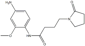 N-(4-amino-2-methoxyphenyl)-4-(2-oxopyrrolidin-1-yl)butanamide 结构式