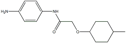 N-(4-aminophenyl)-2-[(4-methylcyclohexyl)oxy]acetamide Struktur