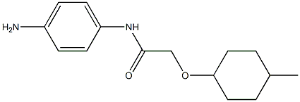  N-(4-aminophenyl)-2-[(4-methylcyclohexyl)oxy]acetamide