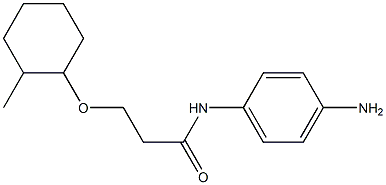 N-(4-aminophenyl)-3-[(2-methylcyclohexyl)oxy]propanamide 化学構造式