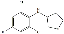 N-(4-bromo-2,6-dichlorophenyl)thiolan-3-amine Structure