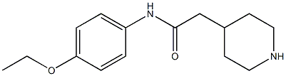 N-(4-ethoxyphenyl)-2-piperidin-4-ylacetamide,,结构式