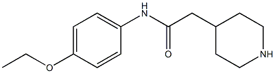  N-(4-ethoxyphenyl)-2-piperidin-4-ylacetamide