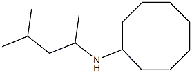 N-(4-methylpentan-2-yl)cyclooctanamine 化学構造式