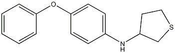 N-(4-phenoxyphenyl)thiolan-3-amine