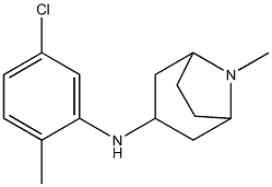 N-(5-chloro-2-methylphenyl)-8-methyl-8-azabicyclo[3.2.1]octan-3-amine Structure