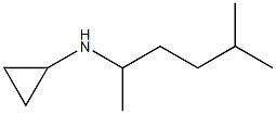  N-(5-methylhexan-2-yl)cyclopropanamine