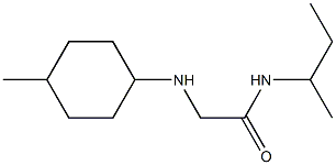 N-(butan-2-yl)-2-[(4-methylcyclohexyl)amino]acetamide 化学構造式