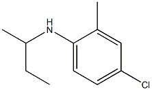 N-(butan-2-yl)-4-chloro-2-methylaniline 结构式