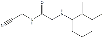 N-(cyanomethyl)-2-[(2,3-dimethylcyclohexyl)amino]acetamide Structure